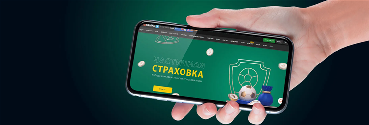 Что значит застраховать ставку