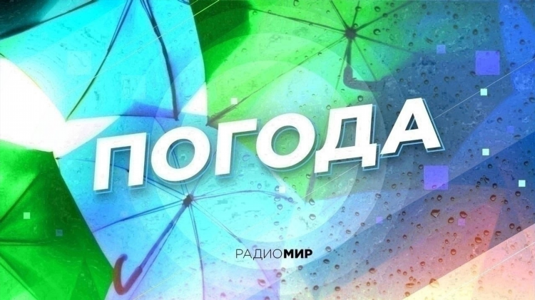 Какой прогноз сегодня