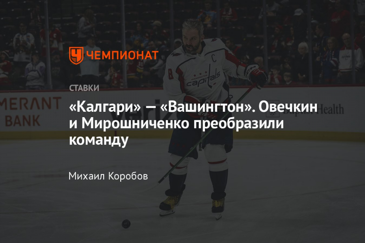 Прогноз калгари колорадо