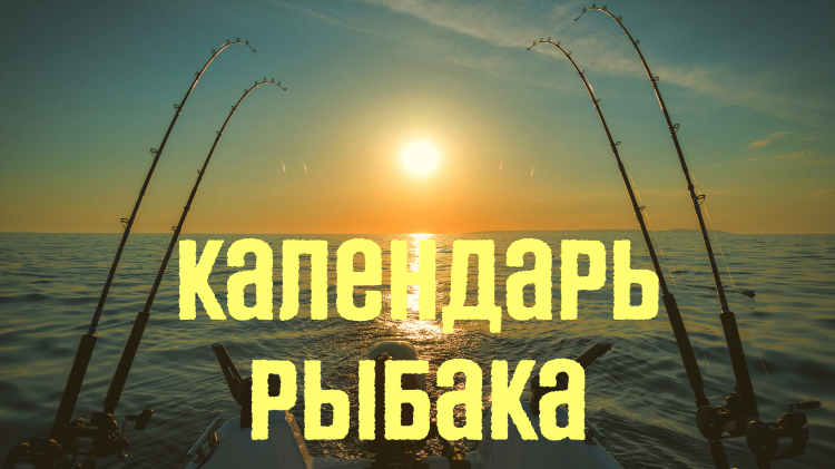 Прогноз клева карпинск