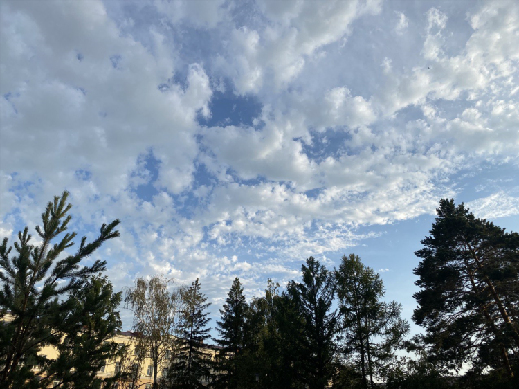 Прогноз на месяц омск