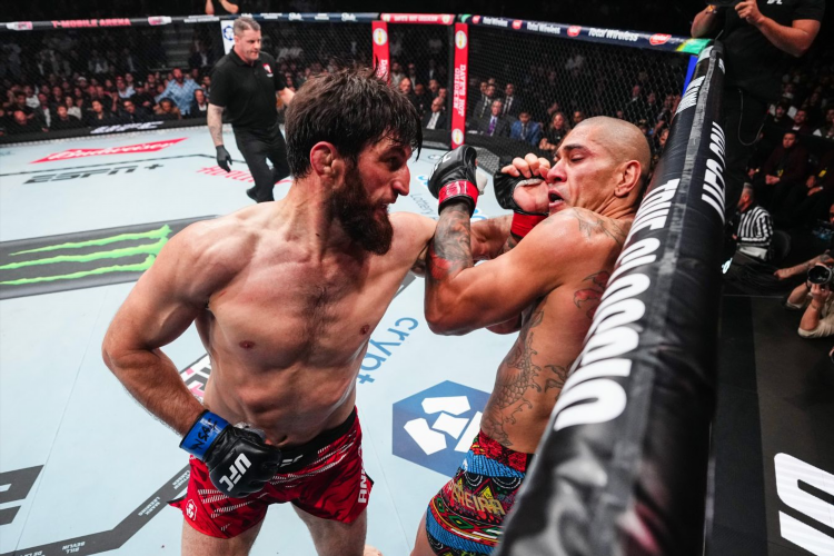 Расписание турниров ufc