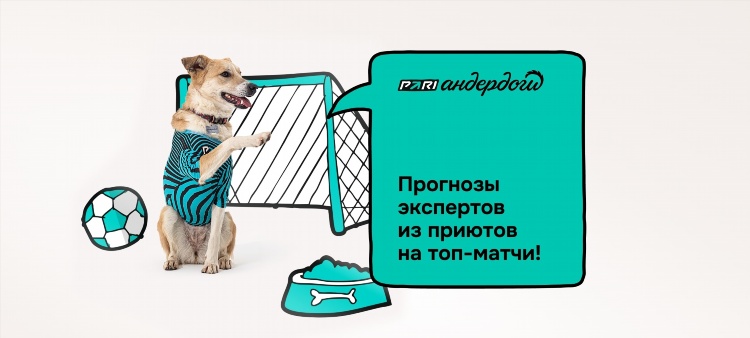 Рейтинг лучших прогнозистов на спорт