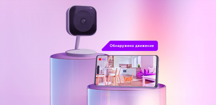Ставка тв официальный