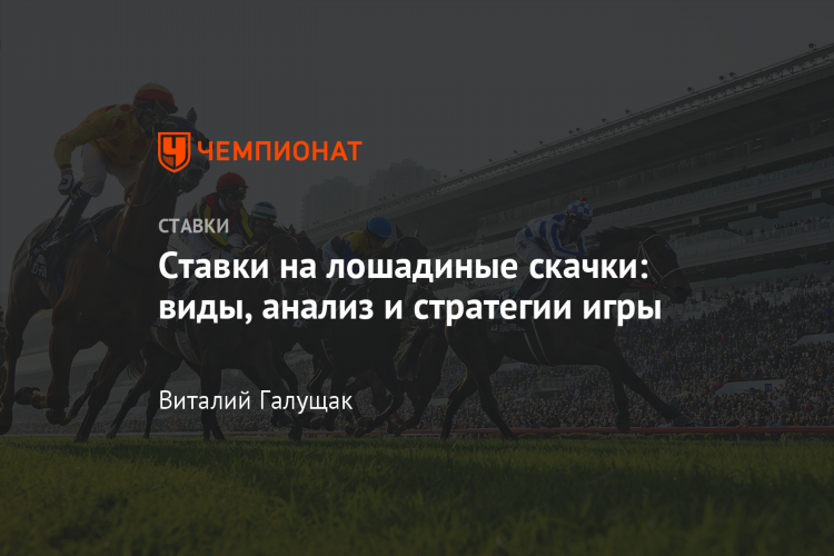 Ставки на скачки